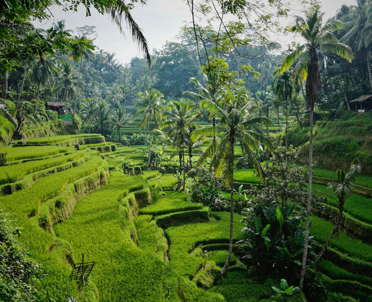 Affordable European Getaways (Photo: Niklas Weiss)