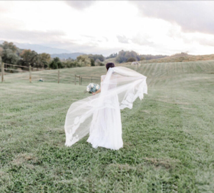 Bride with flowing veil and wedding dress, in a romantic country setting