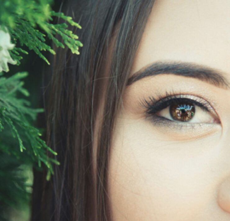 Brdie in a garden closeup image